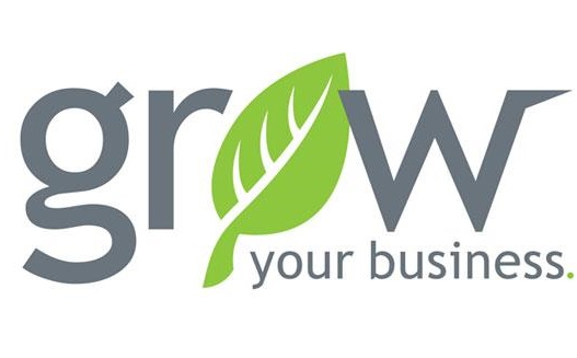 business growth